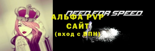 соль ск Алексин