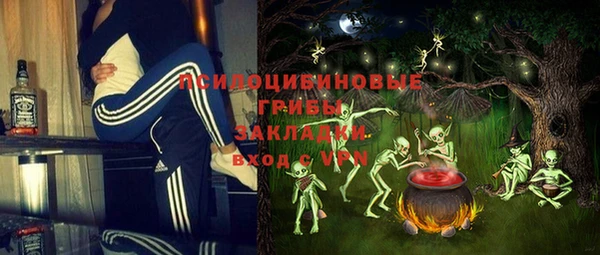 соль ск Алексин