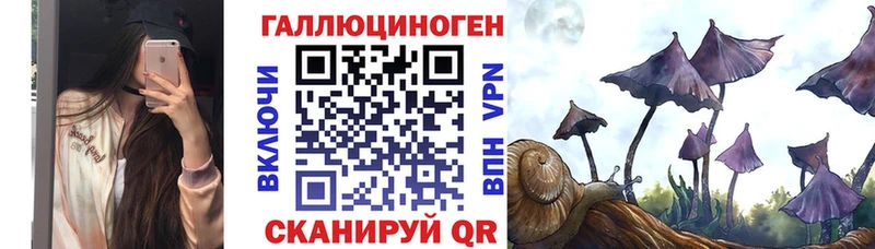 купить наркоту  Пучеж  Галлюциногенные грибы Psilocybe 